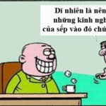 Kiếp nhân viên: Sách kinh nghiệm