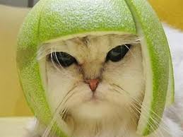 chuyện cười, chuyện hài hước, chuyện tiếu lâm, truyện cười, truyện hài hước