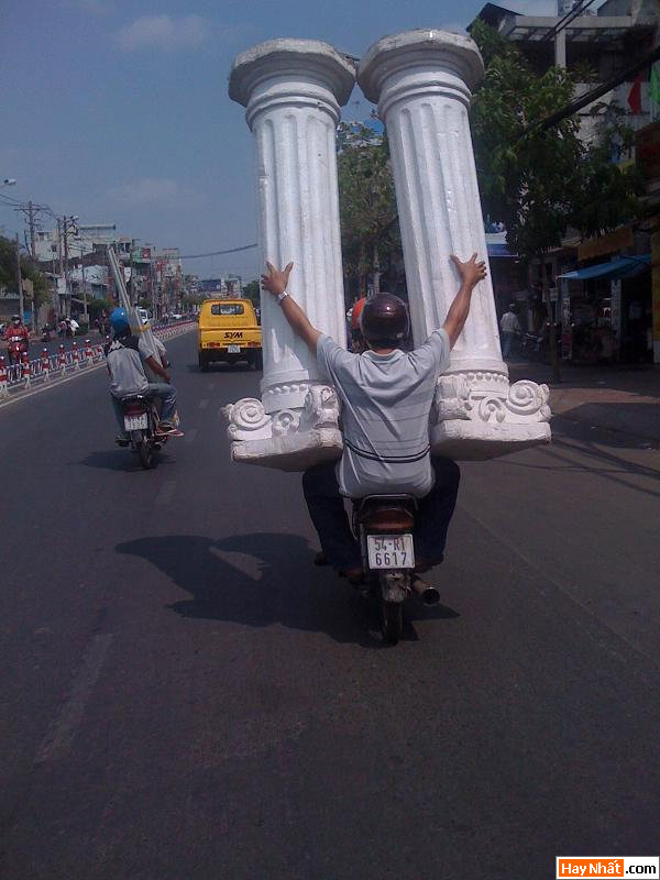 Quậy, Nghịch Ngợm, Quậy Phá, Tinh Nghịch, Ảnh vui, Hình Vui
