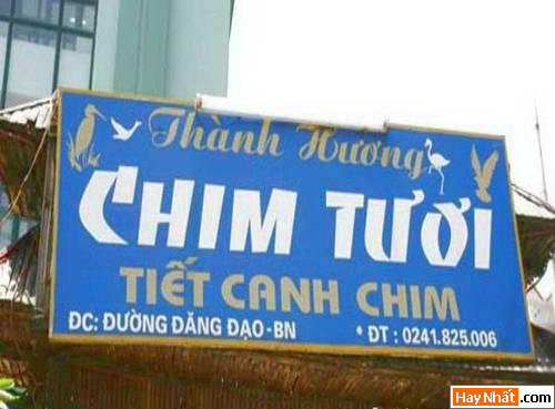 Bảng Hiệu, Băng Rôn, Quảng Cáo, Chết Cười, Pano, Hộp Đèn