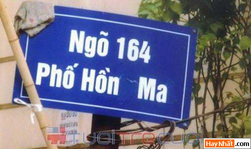 Bảng Hiệu, Băng Rôn, Quảng Cáo, Chết Cười, Pano, Hộp Đèn