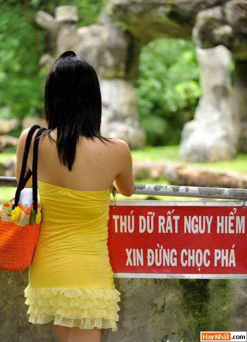 Chết cười, Thông Báo, Biển Hiệu, Bảng Hiệu, Băng Rôn, Thông Điệp