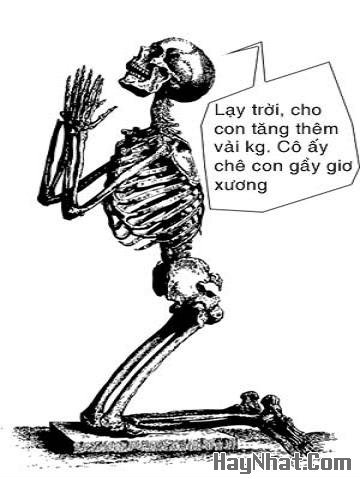 Ảnh cười, Ảnh vui, funny photo, Hình ảnh vui, Hình cười bể bụng, Hình Hài Hước, Hình vui