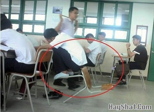 Hinh vui, anh vui, tranh vui