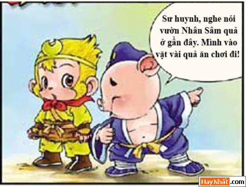 tay du ky, tay du ky hai, ton ngo khong, phat to, bat gioi, su phu, truyen cuoi, truyen hai