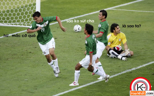 Thể Thao, Bình Luận, Thể Thao Vui, Bình Luận Vui, Hình Vui, Ảnh Vui