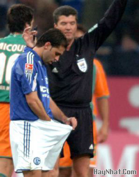 Ảnh cười, Ảnh vui, funny photo, Hình ảnh vui, Hình cười bể bụng, Hình Hài Hước, Hình vui, Tranh hài hước, tranh vui, Tranh vui hài hước, Tranh vui Hội quán cười, Tranh vui nước ngoài