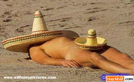 tắm nắng, phơi nắng, ảnh vui, hình vui