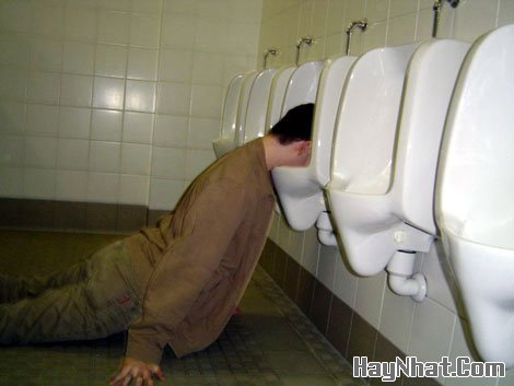 Ảnh cười, Ảnh vui, funny photo, Hình ảnh vui, Hình cười bể bụng, Hình Hài Hước, Hình vui, Tranh hài hước, tranh vui, Tranh vui hài hước, Tranh vui Hội quán cười, Tranh vui nước ngoài