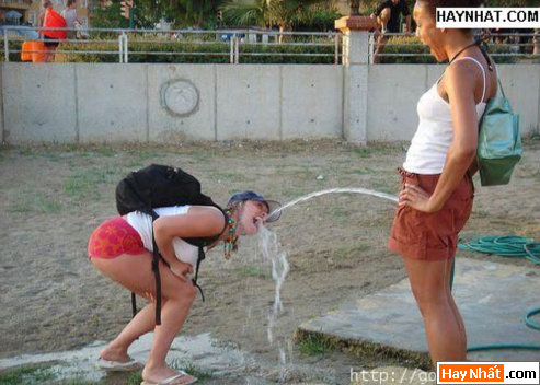 Vui nhất, Vui nhat, Hình vui, Hinh Vui, Ảnh vui, Anh vui, Hình ảnh vui, Hinh anh vui, Anh vui nhat, Ảnh vui nhất, Hinh vui nhat, Hình vui nhất, Funny Photo