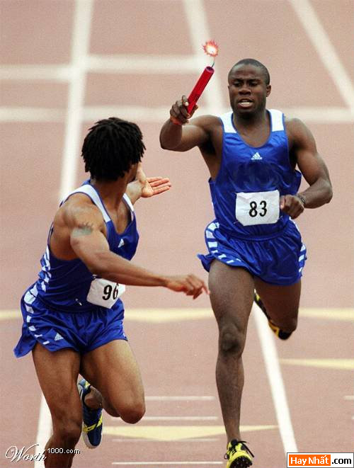 Thể Thao, Bình Luận, Thể Thao Vui, Bình Luận Vui, Hình Vui, Ảnh Vui