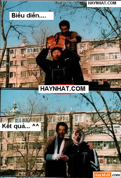 Võ, Võ thuật, Đánh nhau, Biểu diễn, Ảnh vui, Tranh vui, Hình vui, Ảnh vui nhất, Ảnh hài hước