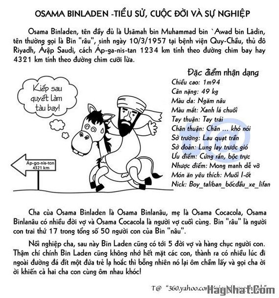 Hài: Cuộc đời và sự nghiệp của BinLaDen