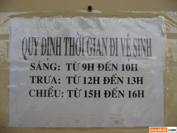 thông báo, bảng hiệu, bien bao, thong diep, quang cao, Giấy tờ, Toilet, WC, Điện thoại