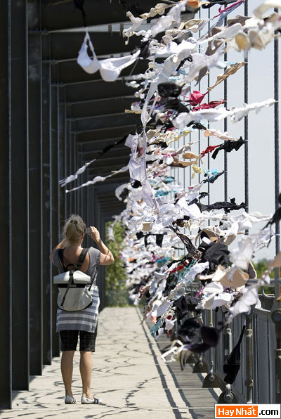 Tế nhị, Cái ấy, Mông, Đít, Khoe hàng, Lộ hàng, Áo ngực, Hình vui, Ảnh vui, Hình vui nhất, Ảnh vui nhất, Ảnh hài hước