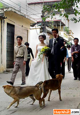 Tế nhị, Cái ấy, Mông, Đít, Khoe hàng, Lộ hàng, Áo ngực, Hình vui, Ảnh vui, Hình vui nhất, Ảnh vui nhất, Ảnh hài hước