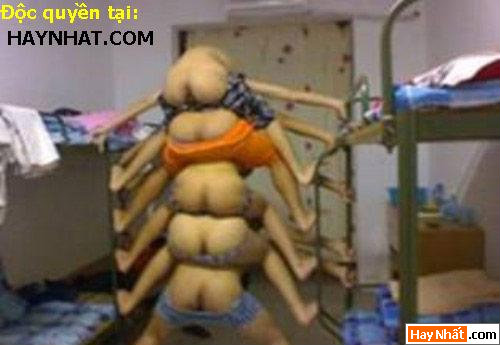 Tế nhị, Cái ấy, Mông, Đít, Khoe hàng, Lộ hàng, Áo ngực, Hình vui, Ảnh vui, Hình vui nhất, Ảnh vui nhất, Ảnh hài hước