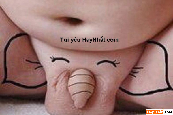 Hình vui, ảnh vui, tranh vui, hình vui nhất, ảnh vui nhất, tranh vui nhất, ảnh hài hước, hình hài hước, tranh vui, Hàng hiếm, Hàng độc, cái ấy, con voi, Voi, Voi con