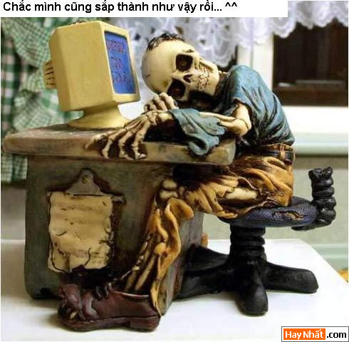 Biếm họa, Biếm họa vui, Bác Hồ, VND, Tiền, Vịt, Thợ săn, Chết, Bộ xương, Computer, Máy tính, Toilet, WC, Say xỉn, Cắt tóc, Người tuyết, Eva, Adam, Egg, Trứng, Gà, Ngoại tình, Mèo, Kinh dị, Tiền sử, Khỉ