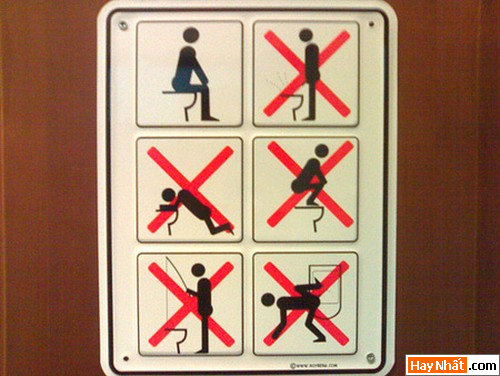 Biếm họa, Biếm họa vui, Bác Hồ, VND, Tiền, Vịt, Thợ săn, Chết, Bộ xương, Computer, Máy tính, Toilet, WC, Say xỉn, Cắt tóc, Người tuyết, Eva, Adam, Egg, Trứng, Gà, Ngoại tình, Mèo, Kinh dị, Tiền sử, Khỉ