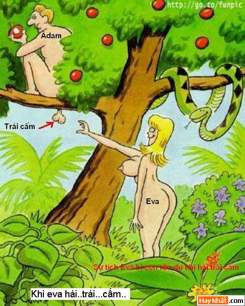 Biếm họa, Biếm họa vui, Bác Hồ, VND, Tiền, Vịt, Thợ săn, Chết, Bộ xương, Computer, Máy tính, Toilet, WC, Say xỉn, Cắt tóc, Người tuyết, Eva, Adam, Egg, Trứng, Gà, Ngoại tình, Mèo, Kinh dị, Tiền sử, Khỉ