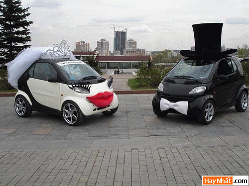 Xe, Giao thông, Quá tải, Xe hơi, Xe máy, Đỗ xe, Đậu xe, Treo xe, Xe đạp, Xe độc