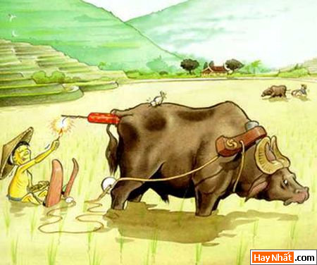 Vui nhất, Vui nhat, Hình vui, Hinh Vui, Ảnh vui, Anh vui, Hình ảnh vui, Hinh anh vui, Anh vui nhat, Ảnh vui nhất, Hinh vui nhat, Hình vui nhất, Funny Photo