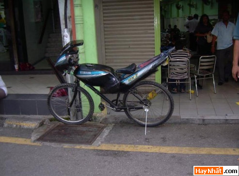 Vui nhất, Vui nhat, Hình vui, Hinh Vui, Ảnh vui, Anh vui, Hình ảnh vui, Hinh anh vui, Anh vui nhat, Ảnh vui nhất, Hinh vui nhat, Hình vui nhất, Funny Photo