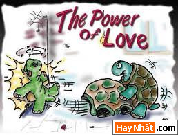 Vui nhất, Vui nhat, Hình vui, Hinh Vui, Ảnh vui, Anh vui, Hình ảnh vui, Hinh anh vui, Anh vui nhat, Ảnh vui nhất, Hinh vui nhat, Hình vui nhất, Funny Photo