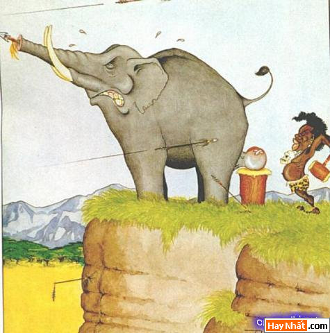 Vui nhất, Vui nhat, Hình vui, Hinh Vui, Ảnh vui, Anh vui, Hình ảnh vui, Hinh anh vui, Anh vui nhat, Ảnh vui nhất, Hinh vui nhat, Hình vui nhất, Funny Photo