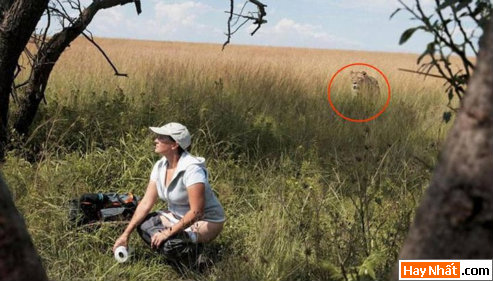 Vui nhất, Vui nhat, Hình vui, Hinh Vui, Ảnh vui, Anh vui, Hình ảnh vui, Hinh anh vui, Anh vui nhat, Ảnh vui nhất, Hinh vui nhat, Hình vui nhất, Funny Photo