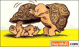 Vui nhất, Vui nhat, Hình vui, Hinh Vui, Ảnh vui, Anh vui, Hình ảnh vui, Hinh anh vui, Anh vui nhat, Ảnh vui nhất, Hinh vui nhat, Hình vui nhất, Funny Photo