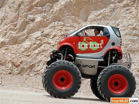 Vui nhất, Vui nhat, Hình vui, Hinh Vui, Ảnh vui, Anh vui, Hình ảnh vui, Hinh anh vui, Anh vui nhat, Ảnh vui nhất, Hinh vui nhat, Hình vui nhất, Funny Photo