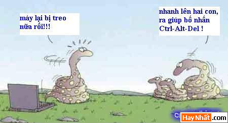 Vui nhất, Vui nhat, Hình vui, Hinh Vui, Ảnh vui, Anh vui, Hình ảnh vui, Hinh anh vui, Anh vui nhat, Ảnh vui nhất, Hinh vui nhat, Hình vui nhất, Funny Photo