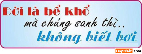 Text, Text sologan, Chữ, Sologan, Sologan độc, Sologan vui, Teen, Teen @, Sologan teen