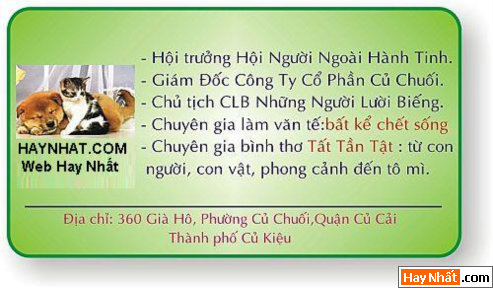 Text, Text sologan, Chữ, Sologan, Sologan độc, Sologan vui, Teen, Teen @, Sologan teen
