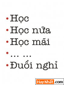 Text, Text sologan, Chữ, Sologan, Sologan độc, Sologan vui, Teen, Teen @, Sologan teen