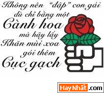 Text, Text sologan, Chữ, Sologan, Sologan độc, Sologan vui, Teen, Teen @, Sologan teen