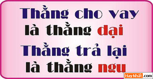 Text, Text sologan, Chữ, Sologan, Sologan độc, Sologan vui, Teen, Teen @, Sologan teen