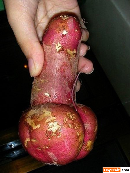 Vui nhất, Vui nhat, Hình vui, Hinh Vui, Ảnh vui, Anh vui, Hình ảnh vui, Hinh anh vui, Anh vui nhat, Ảnh vui nhất, Hinh vui nhat, Hình vui nhất, Funny Photo