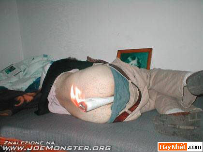 Vui nhất, Vui nhat, Hình vui, Hinh Vui, Ảnh vui, Anh vui, Hình ảnh vui, Hinh anh vui, Anh vui nhat, Ảnh vui nhất, Hinh vui nhat, Hình vui nhất, Funny Photo