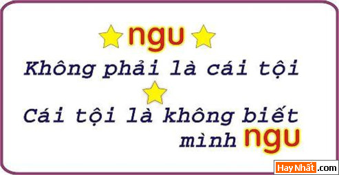 Text, Text sologan, Chữ, Sologan, Sologan độc, Sologan vui, Teen, Teen @, Sologan teen