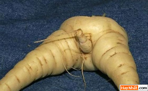 Vui nhất, Vui nhat, Hình vui, Hinh Vui, Ảnh vui, Anh vui, Hình ảnh vui, Hinh anh vui, Anh vui nhat, Ảnh vui nhất, Hinh vui nhat, Hình vui nhất, Funny Photo