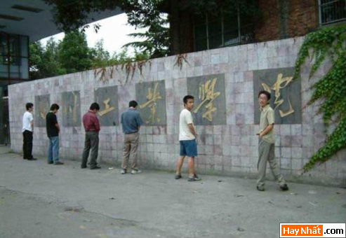 Vui nhất, Vui nhat, Hình vui, Hinh Vui, Ảnh vui, Anh vui, Hình ảnh vui, Hinh anh vui, Anh vui nhat, Ảnh vui nhất, Hinh vui nhat, Hình vui nhất, Funny Photo
