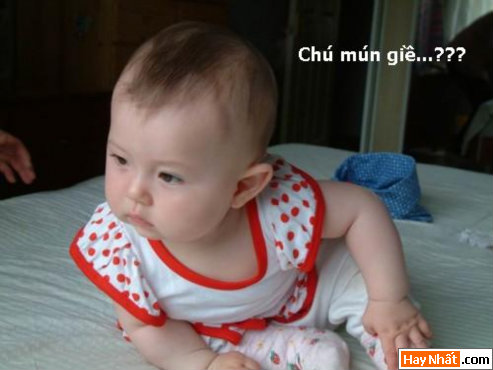 Tranh vui, ảnh vui, Hình vui, ảnh vui nhất, ảnh hài hước, tranh vui nhất, Nhóc, Trẻ con, Em bé, Baby, Con nít