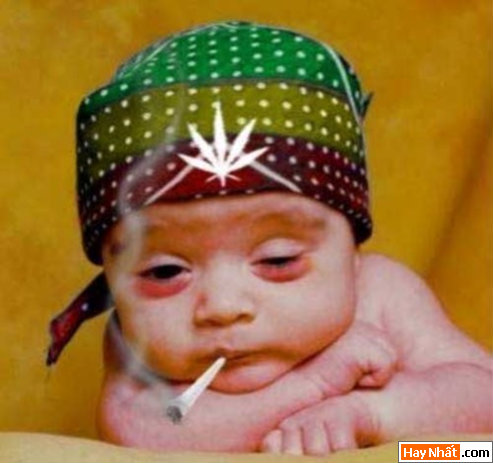 Tranh vui, ảnh vui, Hình vui, ảnh vui nhất, ảnh hài hước, tranh vui nhất, Nhóc, Trẻ con, Em bé, Baby, Con nít