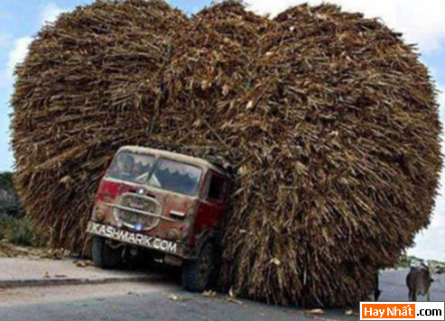 Hình xe, Phương tiện, Giao thông, Quá tải, Xe hơi, Xe máy, Xe đạp, Ô tô