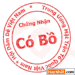Bộ sưu tập Avatar dấu mộc Sock cho Teen, Hình vui, Ảnh vui, Avatar độc, Avatar hiếm, Avatar sock, Avatar teen, Avatar đẹp, Avatar dấu mộc, Avatar vui