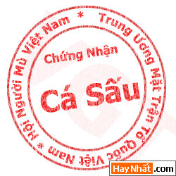 Bộ sưu tập Avatar dấu mộc Sock cho Teen, Hình vui, Ảnh vui, Avatar độc, Avatar hiếm, Avatar sock, Avatar teen, Avatar đẹp, Avatar dấu mộc, Avatar vui