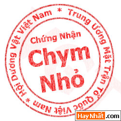Bộ sưu tập Avatar dấu mộc Sock cho Teen, Hình vui, Ảnh vui, Avatar độc, Avatar hiếm, Avatar sock, Avatar teen, Avatar đẹp, Avatar dấu mộc, Avatar vui